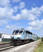 BL36PH # 825 leads the Metrorail Transfer to Miami Central Shuttle train into Metrorail Transfer Station in Hialeah. After getting off of the train at Metrorail Transfer Station from the MIC(Miami Airport), I switched to this train which would take me to 